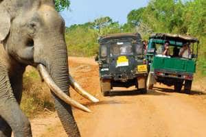 taxi driver in sri lanka