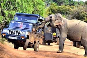 taxi driver in sri lanka